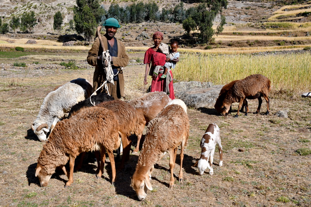 Lalibela-Asheten Mariam